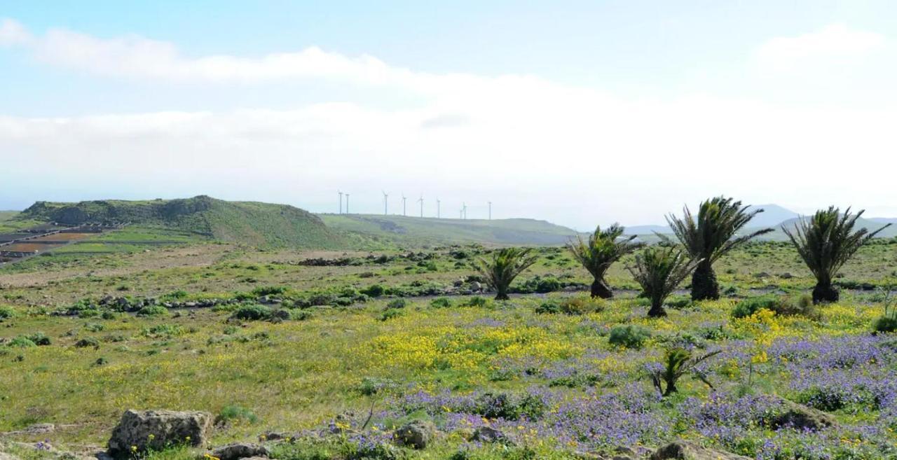 Las Nieves Suites Teguise  Eksteriør bilde